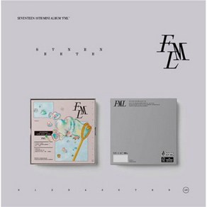 세븐틴 (SEVENTEEN) - 10th Mini Album FML (CARAT Ver.) 준 버전 - 개봉앨범 포카 없음