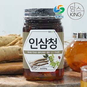 [창원몰]가고파힐링푸드 인삼청 500g, 1개, 1개입