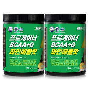 프로게이너 bcaa+g 파인애플 300g+300g 아미노산 BCAA 글루타민 보충제, 2개, 300g