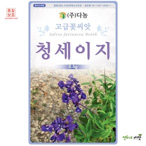 다농 청세이지 씨앗 0.5g, 1개