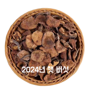 HONA국제 중국 동북지역 원시림 2024년 동북산 햇 개암버섯 개암버섯 깸버섯 250g/봉