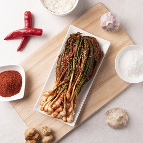 주왕산김치 국산 쪽파김치, 1개, 1kg