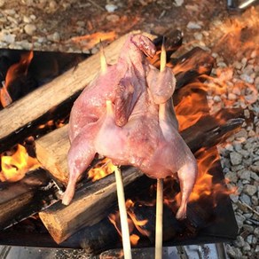 [맛있는생활] 구이 백숙용 손질 메추리(생지)10마리(750g)/ 국내산 캠핑푸드