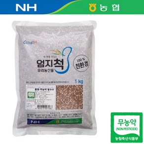 강원 영월 24년산 국산 농협 무농약 수수 1kg 찰수수 수수쌀 수수밥