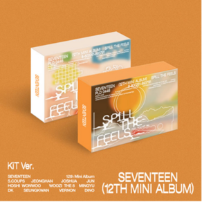 개봉앨범 포토카드 없음 / 세븐틴 SEVENTEEN 미니 12집 앨범 SPILL THE FEELS KiT 버전 - FEEL NEW KIT