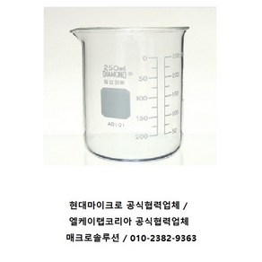 국산 동성 유리 비커 Beake 50ml~500ml 비이커 / 동성과학제품, [BK1010-300], 300mL, 1/EA