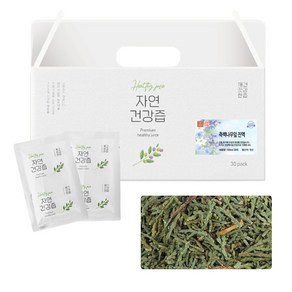 국산 측백엽 측백나무잎 차 즙 건강즙 진액 엑기스 액기스 100ml 30개입, 1개