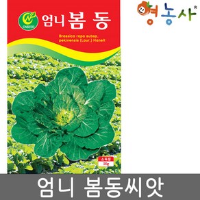 엄니 봄동씨앗 20g 월동배추 씨 종자 키우기 영농사