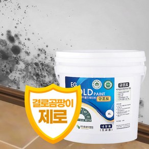 HJ 이지골드 친환경 규조토 페인트 4L (색상28종)