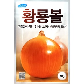 황룡볼 10g 양파씨앗 농우종묘 24년, 1개