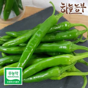 하늘농부 친환경 풋고추 150g, 1개