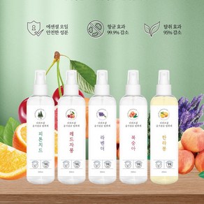 더허브샵 공기&섬유 항균 멀티탈취제 250ml (한라봉향), 한라봉, 1개