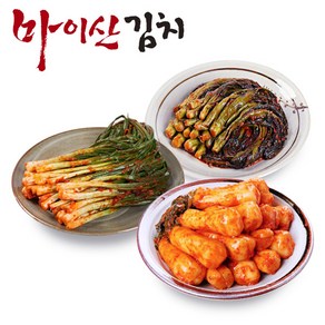마이산김치 [한국농협김치] 전북대표 마이산 3종10호(갓김치1kg+파김치1kg+총각김치1kg), 1세트