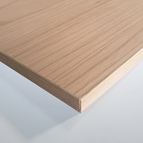 스피드랙 코팅 MDF 합판 1000x600mm 9T, 1개