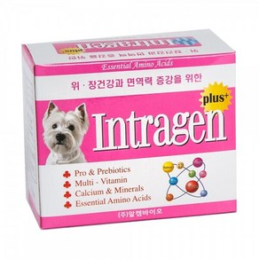 강아지 고양이 영양제 장 면역력 피모 인트라젠 종합영양제 30포(60g), 1세트, 장건강/유산균