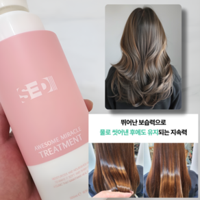 세디 트리트먼트 헤어 단백질 극손상 대용량 헤어팩, 1개, 500ml