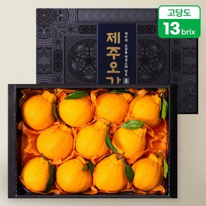 수플린 제주오감 한라봉 선물세트 2.5kg 8 11과/13Bix이상, 제주오감 한라봉 2.5kg, 1개