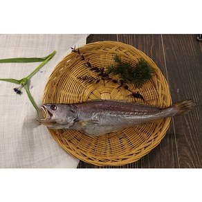 부산 반건조 생선 자연산 참민어 제수용 참민어탕 참민어구이, 소 (35cm 내외 / 300~360g), 1개