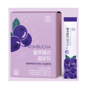 HEALSLAB KOMBUCHA 블루베리 콤부차 유산균 VITAMIN 5g 15개입, 1개