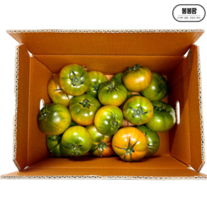 [봉봉팜] 산지직송 당일수확 대저 짭짤이 토마토, 1박스, 대저 1kg (중과 M)
