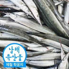 국산 제철 삼천포 학꽁치 회 술안주 막회 회무침 횟감 손질학꽁치 500g, 1개