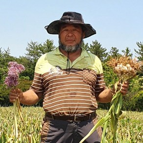 국내산 코끼리마늘 대왕 식용 종자용 마늘, 코끼리마늘 1kg 종자, 1박스