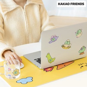 죠르디 빅 스티커 데코 카카오 굿즈 리무버블 캐리어