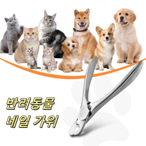 반려동물 손톱깎이 고양이 및 소형견 전용 네일 클리퍼, 1개, 반려동물 전강 철제 손톱깎이