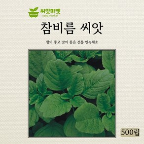 아람종묘 참비름 씨앗 500립, 1개