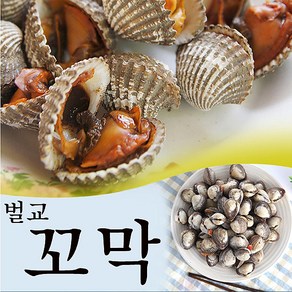 보성 벌교여자만 새꼬막 1.5kg (기본)/산지직송