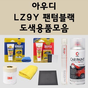 아우디 LZ9Y 팬텀블랙 주문 자동차 붓펜 카페인트 도색 스프레이 퍼티 컴파운드 차량용, 아우디스프레이: LZ9Y 팬텀블랙, 1개