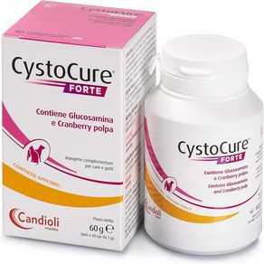 Candioli 칸디올리 CYSTOCURE FORTE 30g, 1개