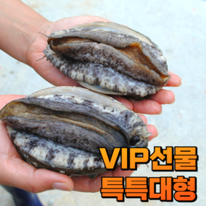 최상급 프리미엄 특특대형 완도 전복 VIP 선물용 선물세트, 1세트, 1kg(6~7미)