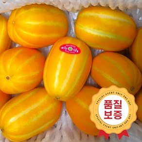 [정성담농원] 당도선별 성주 못난이 참외 가정용 혼합과 초특가, 1박스, 3kg