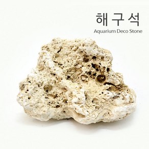 해구석 [랜덤 1kg]