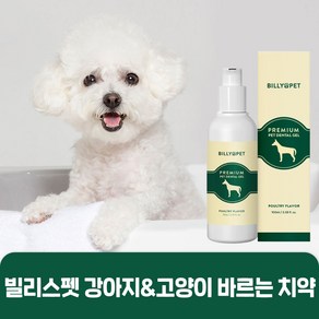 빌리스펫 프리미엄 펫 덴탈 겔 반려동물 강아지 고양이 치약 100ml (구운 닭고기향), 1개