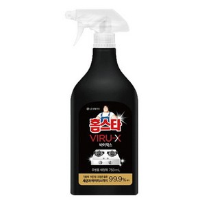 LG 홈스타 바이럭스 세정제 주방용 750ml, 1개