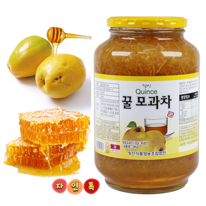 자연톡 고흥 꿀 모과차 모과청 과일 차 청, 2kg, 1세트, 1개입