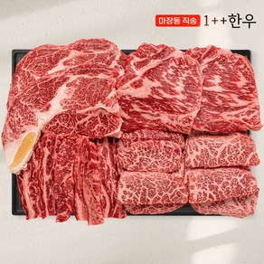 마장동직송 최고급 한우 1++ 투쁠 모듬세트, 800g, 1개