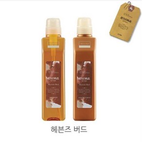 데미 헤어시즌즈 아로마시럽스 헤븐즈 버드 샴푸 트리트먼트 550ml 세트, 1세트