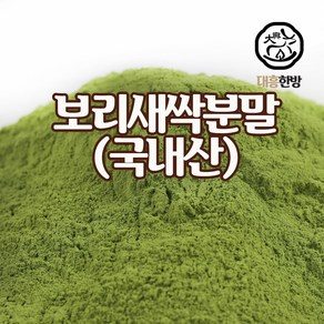 대흥한방 보리새싹분말 100g 국내산, 1개