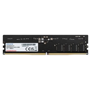 [공식수입사] ADATA DDR5-5600 CL46-45-45 (16GB), 1개