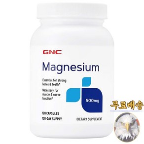 미국산 지앤씨 마그네슘 500mg 120캡슐 GNC Magnesium 선물증정, 120정, 1개