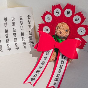 화예원 아기 강아지 인간 어버이날 카네이션 세트 선물은 저에요 문구 4종 교체 가능, 리본+머리띠