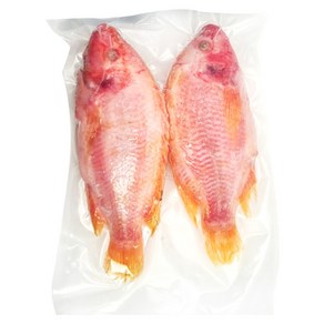 냉동 레드 텔레피아 틸라피아 (남비엣), 1개, 1kg