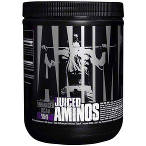 Animal 아미노산 파우더 Juiced Aminos 376g