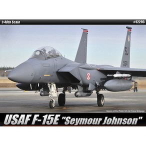 아카데미과학 USAF 시모어 존슨 F-15E 항공기, 15세이상, 1개