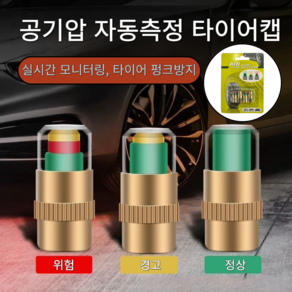 더마블 에어캡 밸브캡 공기압 타이어캡, 자동측정, 4개