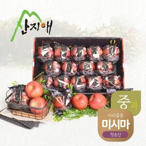 산지애 블랙라벨 사과 3kg (13~14과), 1개