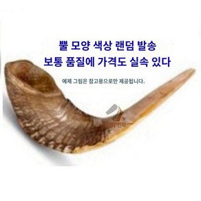 양각 나팔 이스라엘 뿔나팔 쇼파르 유대인 램 풀피리 입문용호른 프렌치호른 Hon, 반광택 일반 상품 대형, 1개